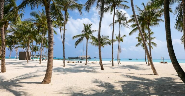 Wanderlust? Check Out These Useful Travel Tips!