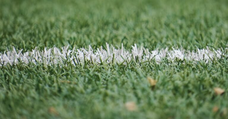 Anyone Can  Play Soccer With These Tips