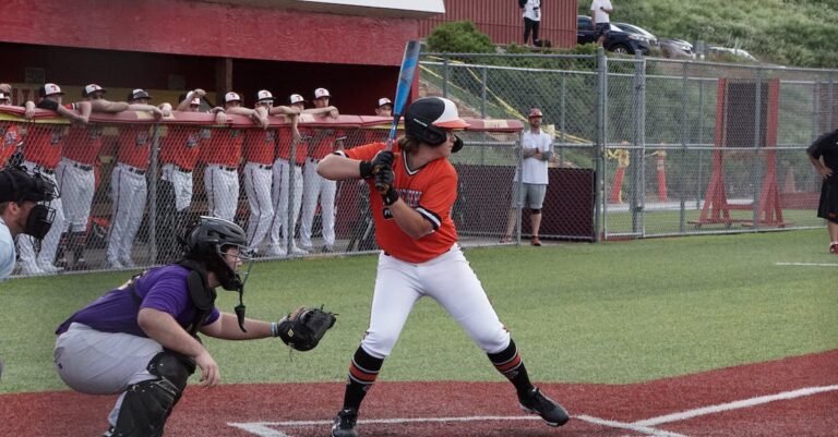 Baseball Tips You Will Not Read Elsewhere
