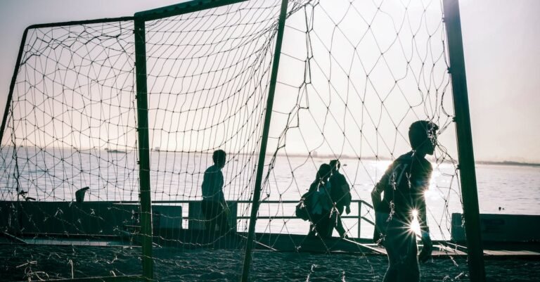 Love Soccer? You Have Got To Read This!