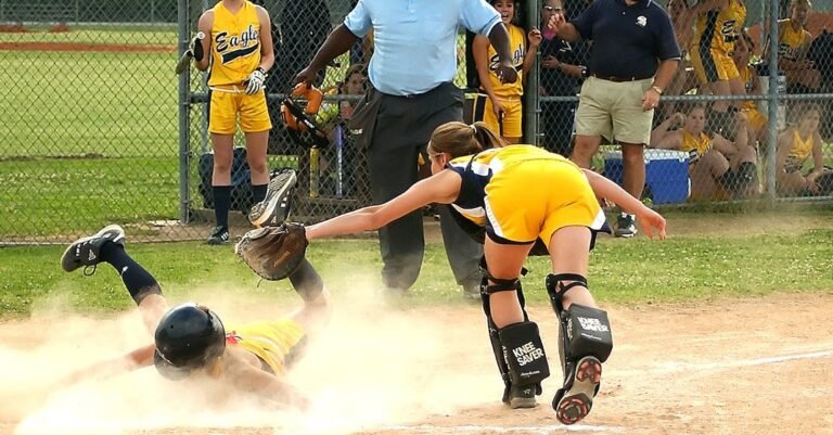 Are You A Baseball Novice? Give This A Read!